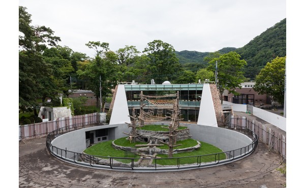 円山動物園サル山改修工事実施設計